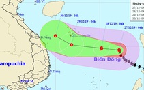 Bão số 8 giật cấp 14, cách Song Tử Tây 480km, biển động dữ dội