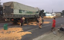 CSGT cùng người dân giúp tài xế thu gom ngô đổ ra đường sau tai nạn