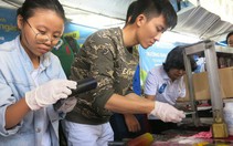 Chọn ngành đâu chỉ dựa vào năng khiếu