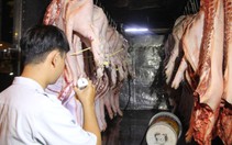 'Dịch tả heo vào miền Nam là thảm họa'
