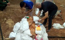 Tháo ngòi nổ quả bom nặng 350kg