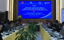 Cuối 2019 cấp đổi bằng lái, đấu giá biển số xe qua mạng