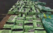 Philippines bắt giữ 276kg ma túy xuất đi từ cảng Cát Lái