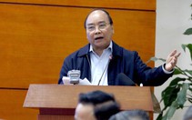 Thủ tướng đồng ý thanh toán cho dân 80% giá thị trường heo bị dịch
