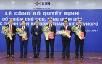 Tổng công ty Điện lực miền Trung có tổng giám đốc mới