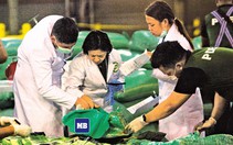 Ma túy đá từ tam giác vàng - Kỳ 4: Các đường dây người Hoa