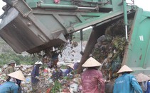 Cử tri Đà Nẵng bức xúc về rác thải, lo ô nhiễm biển