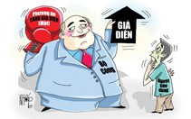 Giá điện tù mù