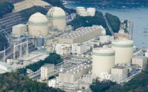 Nhật Bản yêu cầu rà soát việc sử dụng lao động nước ngoài ở Fukushima