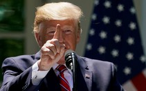Tranh cử kiểu Trump: vận động liên tục từ online đến offline