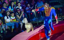 Đưa con ra khỏi nhà, rời điện thoại ngày hè