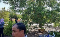 Giám đốc Trung tâm văn hóa Quảng Nam chết trong tư thế treo cổ