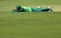 Video tuyển thủ Giải cricket vô địch thế giới 2019 'nằm gục' khi đàn ong tràn qua
