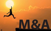 Những thương vụ M&A bất động sản nổi bật  6 tháng đầu năm 2019