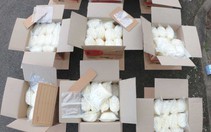 Chở ma túy đá lại tông ngay xe cảnh sát
