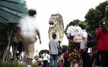 Chở rượu đến Triều Tiên, một doanh nghiệp Singapore 'vi phạm lệnh cấm vận'