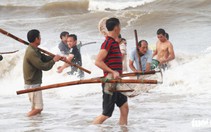 Cả trăm người dân, du khách tụ về bờ biển nhặt sò, ngao sau bão số 4