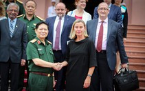 Hợp tác quốc phòng Việt Nam - EU phát triển tích cực