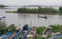 Nước lũ trên sông Tiền đã vượt báo động 1