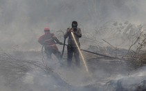 Cháy rừng: Indonesia mất bò 2 lần mới lo làm chuồng?