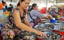 Cá linh lên Sài Gòn, giá gần gấp đôi