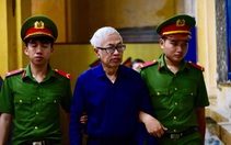 Cựu lãnh đạo Ngân hàng Đông Á Trần Phương Bình bị truy tố tội mới