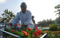 Làng hoa Sa Đéc kẻ khóc người cười, thương lái hủy kèo phút cuối
