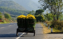 Chiều ba mươi đủ cả, chỉ thiếu một... mẹ thôi