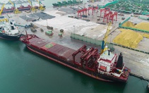 Xi măng cao cấp Tân Thắng chinh phục thị trường thế giới