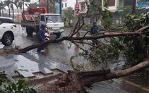 Bão số 12 đang trên biển Bình Định - Ninh Thuận, đất liền gió giật cấp 9