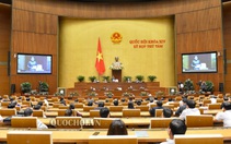 Tuần này Quốc hội bắt đầu phiên chất vấn
