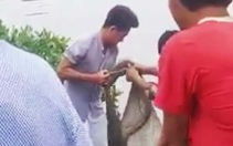 Lại phát hiện cá sấu sổng chuồng tại Cà Mau