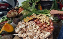Tháo gỡ vụ 'gừng, tỏi, rau thơm thành dược liệu'