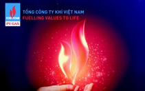 Hội thảo 'Hiệp định EVFTA -Thế và Lực  để kinh tế Việt Nam phát triển bền vững'