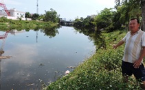 Cá chết dày đặc, bốc mùi hôi thối ngày đêm trên sông Cầu Dứa, Nha Trang