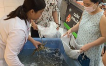 Rộ 'giải cứu' tôm hùm với giá giảm phân nửa