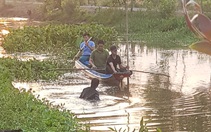 Công an lội kênh tìm vật chứng vụ Tuấn 'khỉ' xả súng ở Củ Chi