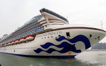 Hơn 340 du khách trên tàu Diamond Princess từng vào đất liền Huế, Hội An