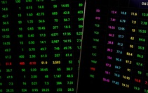 Chứng khoán Mỹ giảm, VN-Index xanh rực rỡ, nhiều cổ phiếu tăng trần