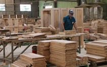 Xuất khẩu gỗ đóng băng khi 80% đơn hàng tạm dừng
