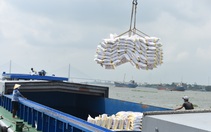 Được xuất khẩu gạo nhưng doanh nghiệp lo 'đã trễ cơ hội vàng'