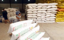 Công bố quyết định thanh tra công tác xuất khẩu gạo