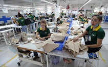 Tại sao chỉ hỗ trợ doanh nghiệp nhỏ, ít lao động?
