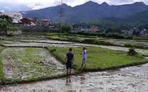 Thảm án 3 người chết bí ẩn