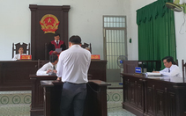 4 năm định giá kính xe hơi, 7 lần trả hồ sơ: Phạt 6 tháng tù, hưởng án treo