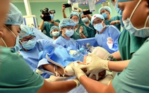 Những 'mệnh lệnh của sự sống'