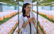 19h tối nay phát sóng 'Khám phá trường học' tại ĐH Lâm nghiệp