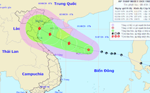 Vùng áp thấp trên biển Đông đã mạnh lên thành áp thấp nhiệt đới