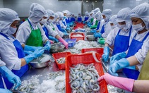 Từ ngày 1-8: EU áp thuế 0% với 85,6% dòng thuế nhập hàng Việt Nam
