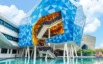 Mở rộng cánh cửa Đại học Quốc tế với kỳ nhập học tháng 10 tại BUV